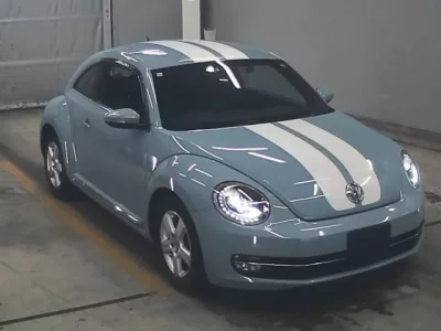 Volkswagen THE BEETLE