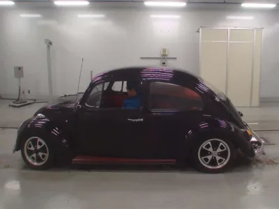 Volkswagen BEETLE