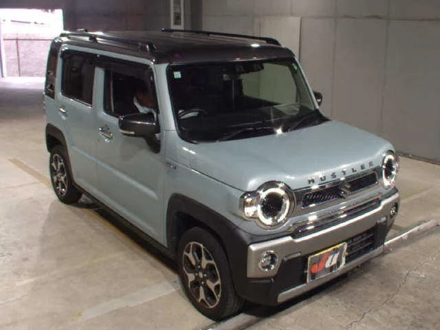 Suzuki HUSTLER