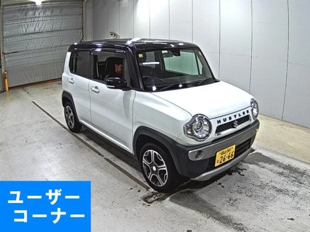 Suzuki HUSTLER