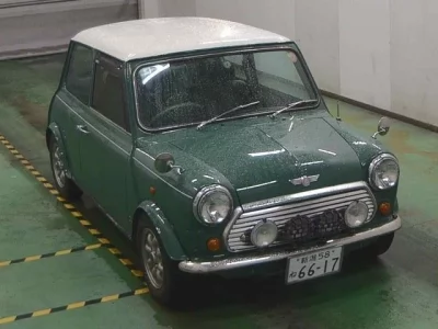 Rover MINI