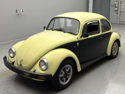 Volkswagen BEETLE
