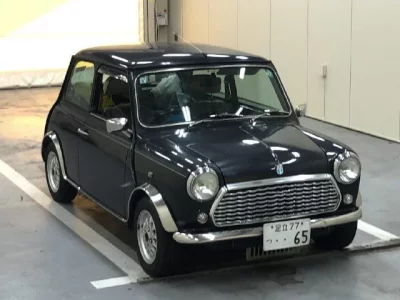 Rover MINI