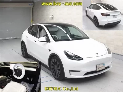 Tesla MODELY