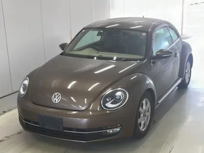 Volkswagen THE BEETLE