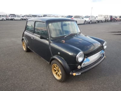 Rover MINI