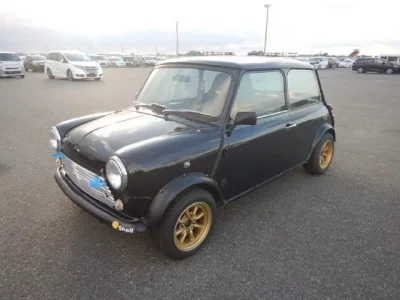 Rover MINI