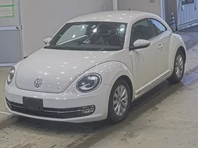 Volkswagen THE BEETLE
