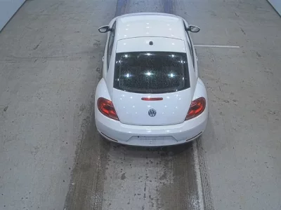 Volkswagen THE BEETLE