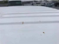 Nissan ATLAS лот № 70042 оценка 3.5  с аукциона в Японии 9