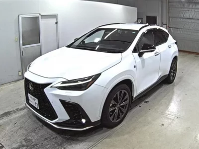 Lexus NX  с аукциона в Японии