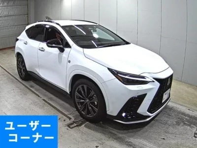 Lexus NX  с аукциона в Японии