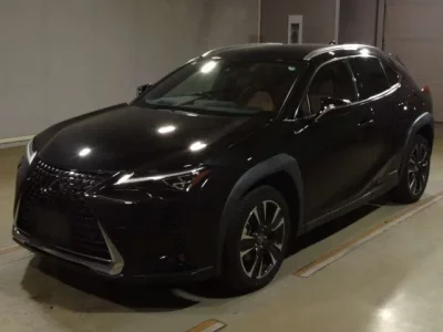 Lexus UX  с аукциона в Японии