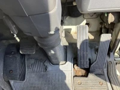 Hino RANGER  с аукциона в Японии