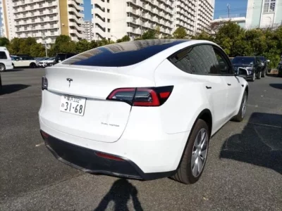 Tesla MODELY