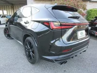Lexus NX лот № 90014 оценка 5  с аукциона в Японии 1