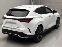Lexus NX лот № 10014 оценка 4.5  с аукциона в Японии 1