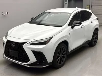 Lexus NX  с аукциона в Японии