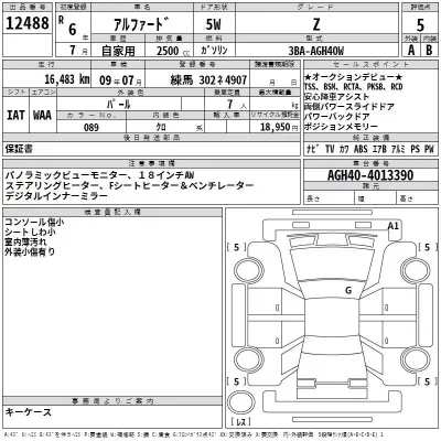 Toyota ALPHARD  с аукциона в Японии