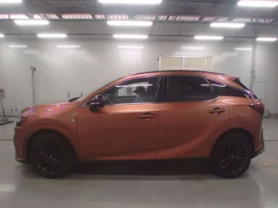 Lexus RX  с аукциона в Японии