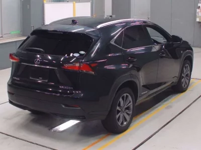 Lexus NX  с аукциона в Японии
