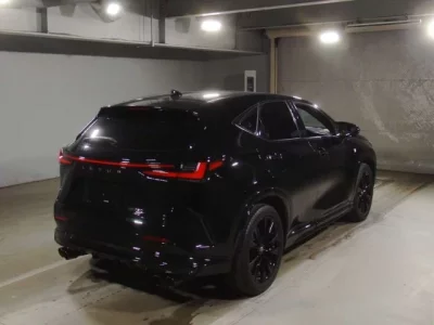 Lexus NX  с аукциона в Японии