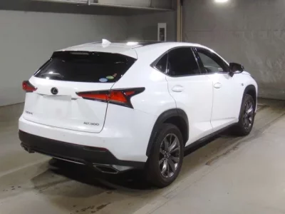 Lexus NX  с аукциона в Японии