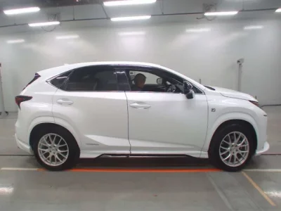 Lexus NX  с аукциона в Японии