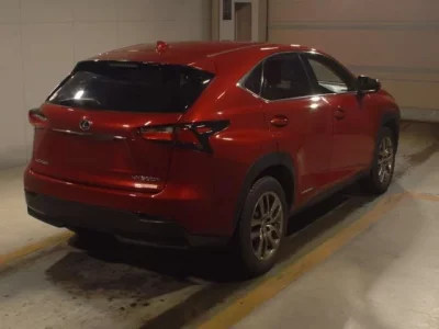 Lexus NX  с аукциона в Японии