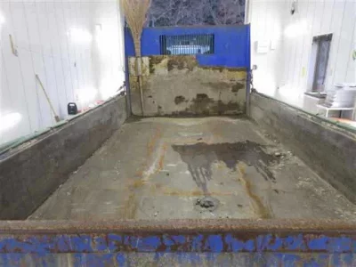 Isuzu ELF  с аукциона в Японии