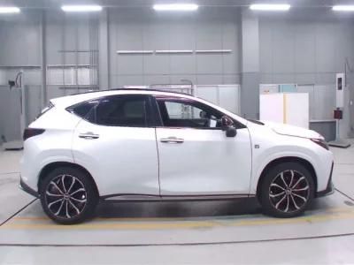 Lexus NX  с аукциона в Японии