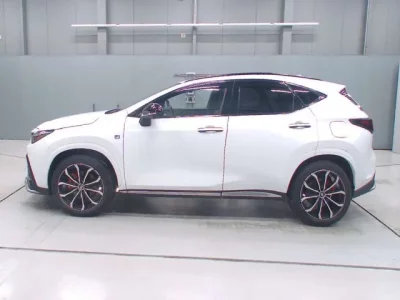 Lexus NX  с аукциона в Японии