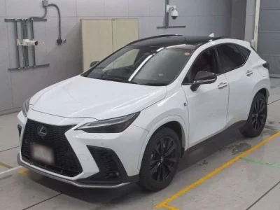 Lexus NX  с аукциона в Японии
