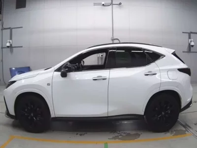 Lexus NX  с аукциона в Японии