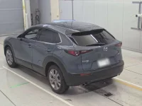 Mazda CX-30 лот № 30074 оценка 4.5  с аукциона в Японии 5