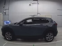 Mazda CX-30 лот № 30074 оценка 4.5  с аукциона в Японии 3