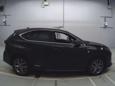 Lexus NX  с аукциона в Японии
