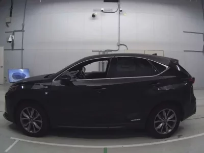 Lexus NX  с аукциона в Японии