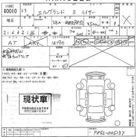 Nissan ELGRAND лот № 80010 оценка X  с аукциона в Японии 10
