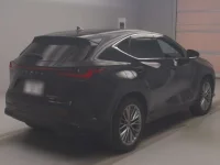 Lexus NX лот № 81004 оценка 5  с аукциона в Японии 1