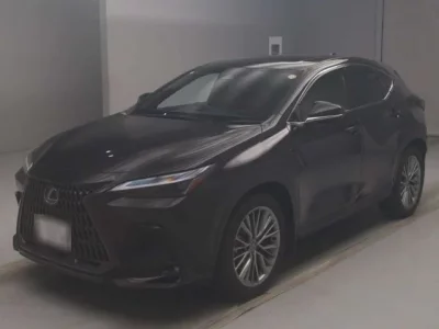 Lexus NX  с аукциона в Японии