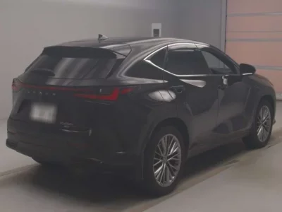 Lexus NX  с аукциона в Японии