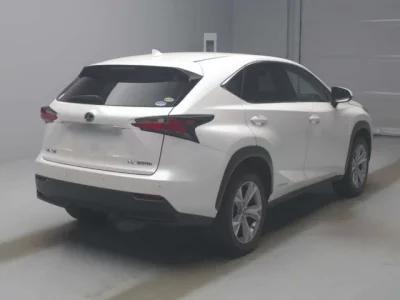Lexus NX  с аукциона в Японии