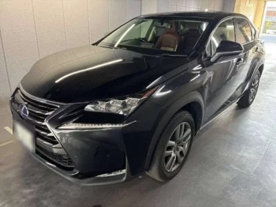 Lexus NX  с аукциона в Японии