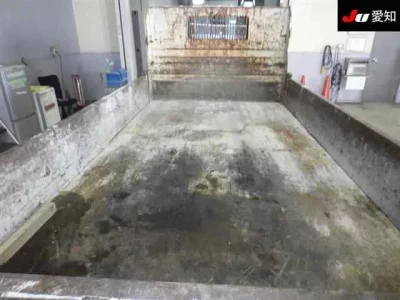 Isuzu ELF  с аукциона в Японии