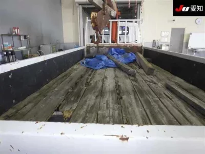 Mitsubishi CANTER  с аукциона в Японии