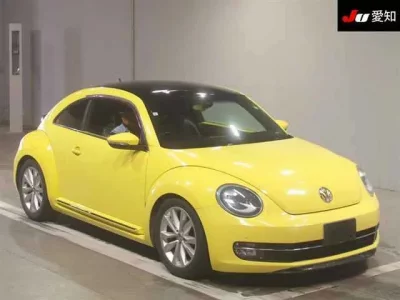 Volkswagen THE BEETLE