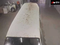 Toyota HIACE VAN лот № 20133 оценка 3  с аукциона в Японии 8