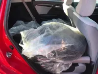 Honda FIT лот № 80027 оценка 3.5  с аукциона в Японии 7