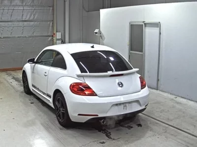 Volkswagen THE BEETLE